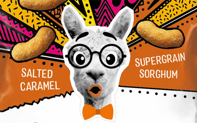 Surprised llama wearing glasses